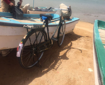 Fahrrad Oman1
