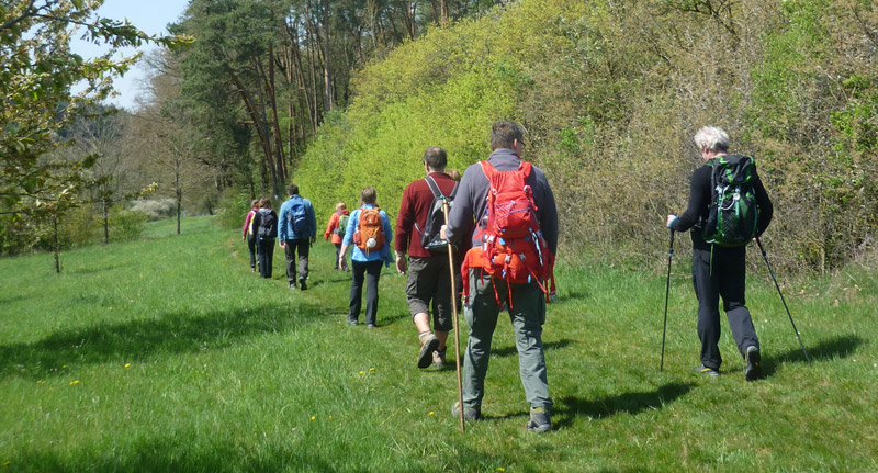 11857 - Gehen - Trauern - Wandeln