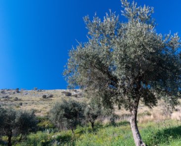 Predigt von Jutta Hoecht-Stoehr Boden