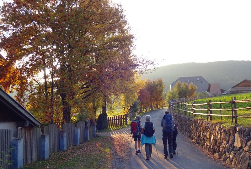 12704 - Reife Früchte, harte Nüsse