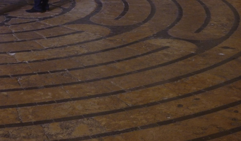 12785 - Auf der Spur zur Herzensberufung