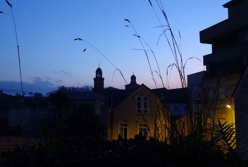 12899 - End-lich leben
