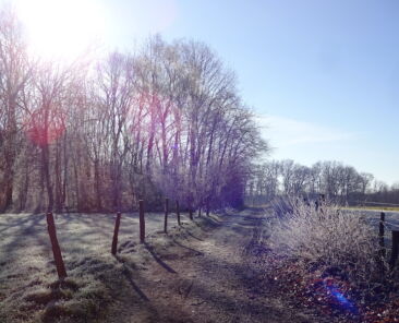 Pilgern im Winter Homepage