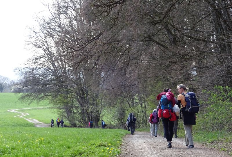 13112 - Gehen - Trauern - Wandeln