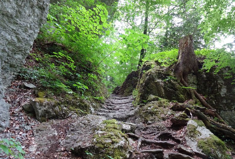 13163 - Der "Weg des Buches"
