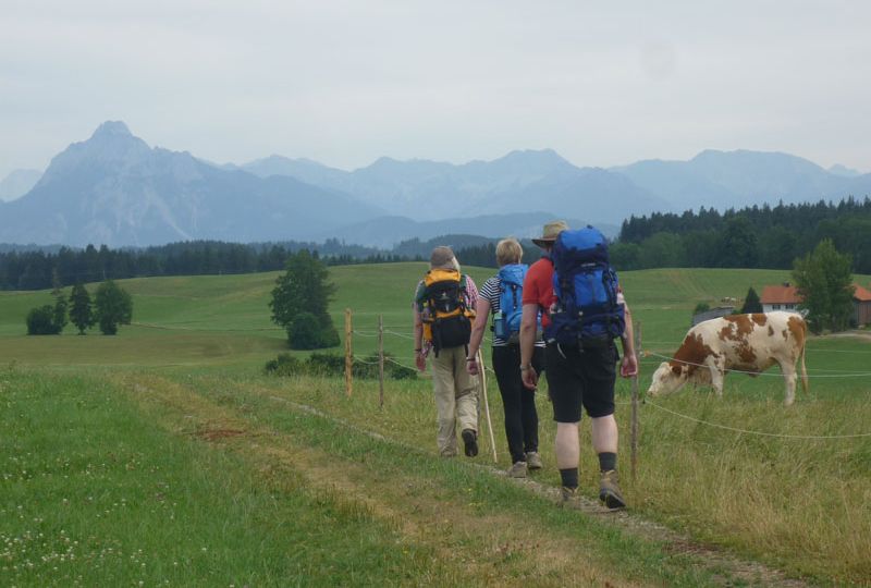 13322 - Heimat-Pilgern