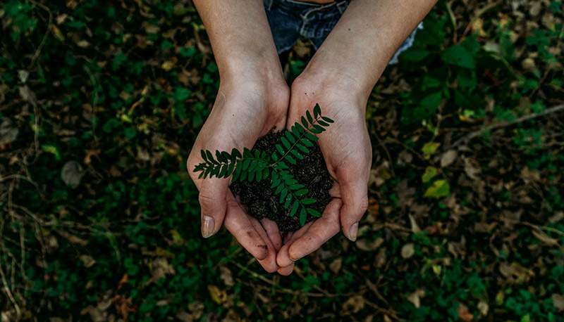 Bildnachweis: Noah Busher (unsplash.com)
