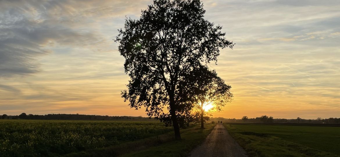 13460 - Am Ende gut versorgt