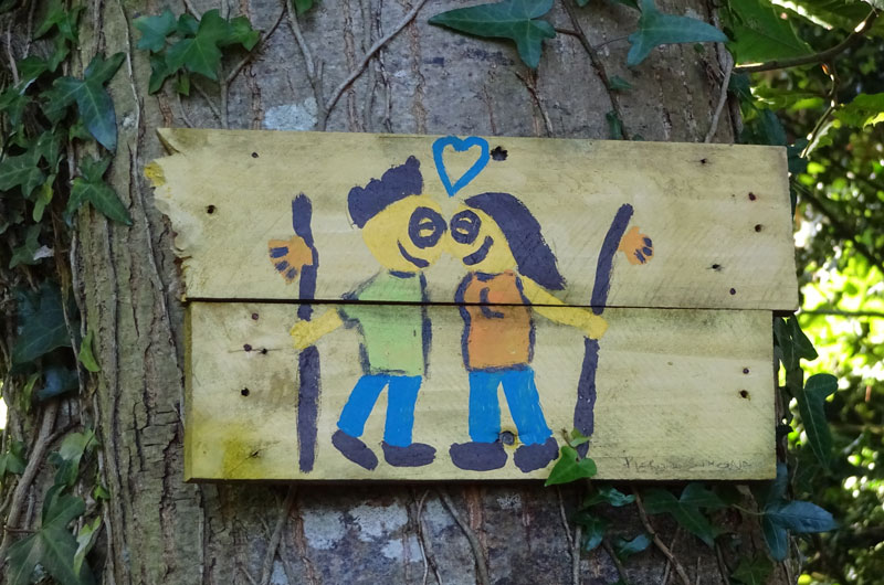 13582 - Suche eineN für immer und ewig