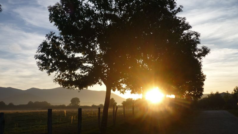 13720 - Gehen - Trauern - Wandeln: