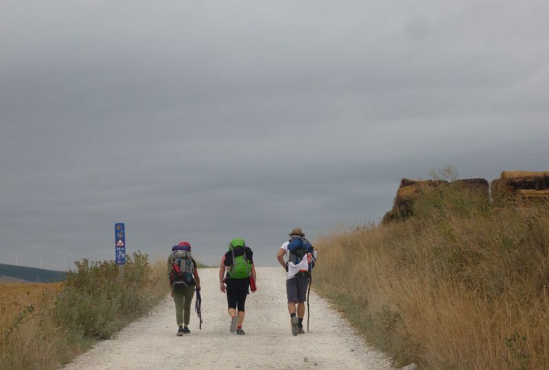 13920 - Räume zum Wachsen eröffnen