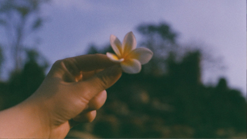 13933 - Wenn der Körper spricht