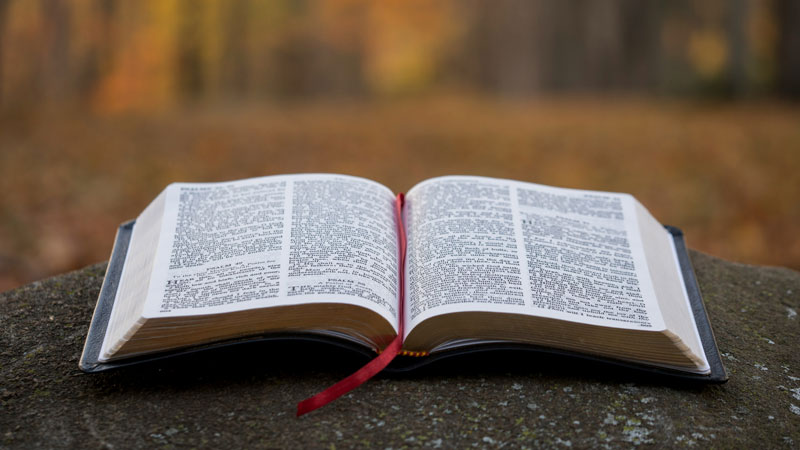 13999 - Die Bibel als Weltliteratur (Teil VI)